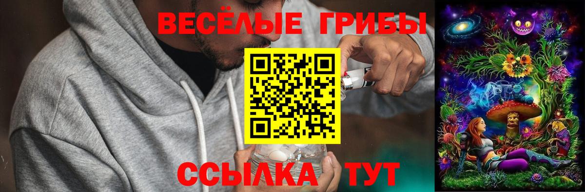 Галлюциногенные грибы Magic Shrooms  как найти   Псилоцибиновые грибы ЛСД  Рыбинск  Вход с VPN 
